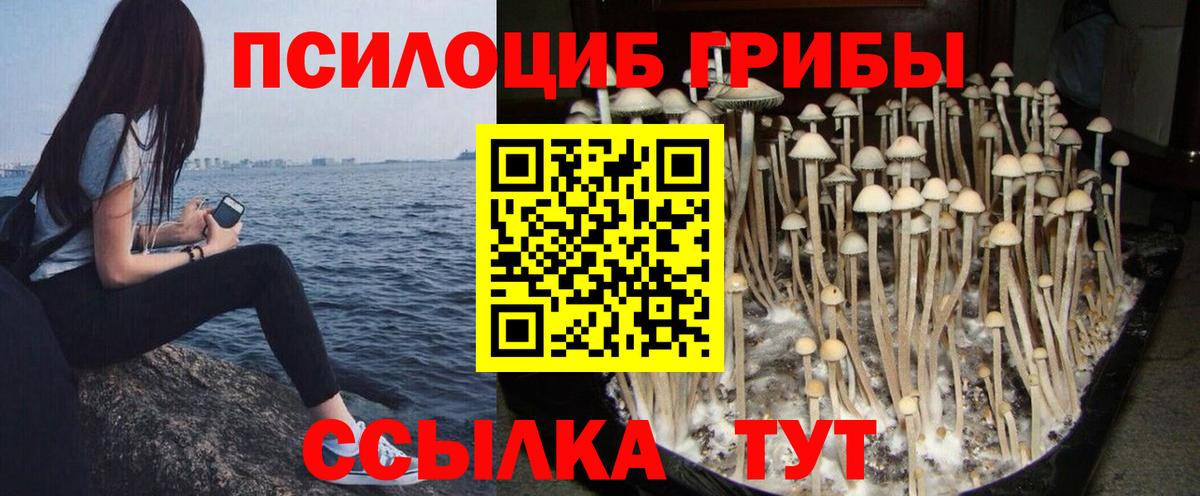 Псилоцибиновые грибы мицелий  Галлюциногенные грибы Psilocybine cubensis  купить закладку  Вход с VPN  Учалы 